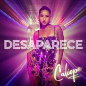 Desaparece artwork