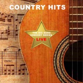 The Big Bang Concert Series: Country Hits Live artwork