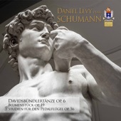 Schumann: Piano Music, Vol. 5 artwork
