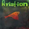 Aviation