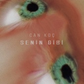 Senin Gibi artwork