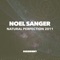 Natural Perfection 2011 - Noel Sanger lyrics