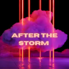 After the Storm by Erika album reviews, ratings, credits