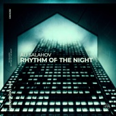 Rhythm of the Night artwork