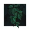 Untitled Plant Song - Single album lyrics, reviews, download