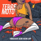 Terremoto artwork