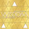 Stream & download Wisdom (Zelda's Lullaby) - Single