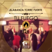 Tu Fuego artwork