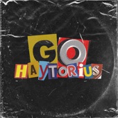 haytorius - GO