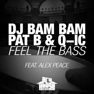 Feel the Bass (Radio Mix) (feat. Alex Peace) by DJ Bam Bam, Q-IC & Pat B song reviws