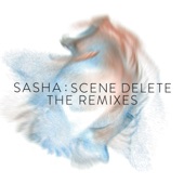Scene Delete: The Remixes artwork