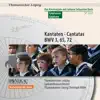 Johann Sebastian Bach: Cantatas / Kantaten BWV 3, BWV 65, BWV 72 (Das Kirchenjahr mit Bach: Epiphanias / The Liturgical Year with Bach: Epiphany Vol. 3) album lyrics, reviews, download