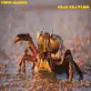 Crab Crawling (Instrumental Version) song lyrics