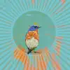 Bluebird - Single album lyrics, reviews, download