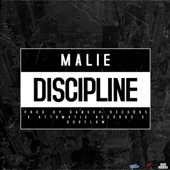 Discipline artwork