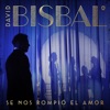 David Bisbal - Se Nos Rompió El Amor
