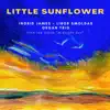 Stream & download Little Sunflower - Single