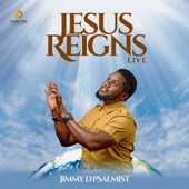 Jesus Reigns (Live) artwork
