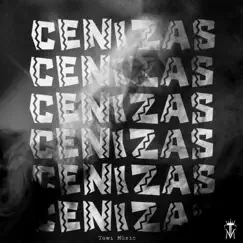 CENIZAS Song Lyrics