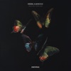 Wild Butterflies - Single