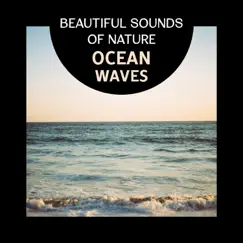 Waves Background Music Song Lyrics