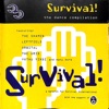 Survival - The Dance Compilation, 1993