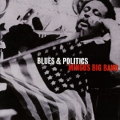 Blues & Politics artwork