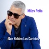 Que Hablen Las Caricias - Single