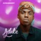 Aduke (feat. Jamo Pyper) - Aybaddest lyrics