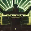 Stream & download Where Are You Now - Single