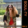 Soulful Disco House, Vol. 2 album lyrics, reviews, download