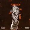 Stream & download Function In My Zone - Single