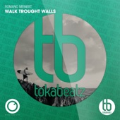 Walk Through Walls (Club Mix) artwork
