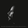 Peter Schreiner & die Relevanz I