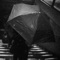 Dream On - Stephen McDonald lyrics