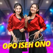 Opo Iseh Ono artwork