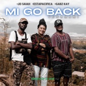 Mi Go Back(Vunamami) (feat. Estapacifica & Gabz Kay) artwork