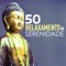 Alinhamento Chakra - Caetano Pensamento lyrics