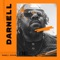 Darnell - Darnell Graham lyrics