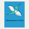 Help Your Bird Relax Music - Pet Therapy Piano Music