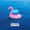 Wonder (Romeo's Fault Nine Lives Bootleg Remix) song lyrics