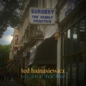 Ted Hajnasiewicz - Cut-Out Bin