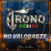 No Valoraste (Karaoke) - Single album lyrics, reviews, download