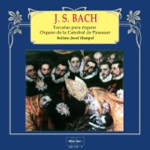 Toccata y Fuga para órgano in D Minor, BWV 565 artwork