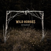 WILD HORSES - Light of Day