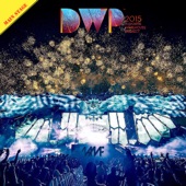 DWP15 (After 1AMF Remixed) artwork