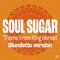 Theme From King Heroin - Soul Sugar lyrics