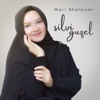 Mari Sholawat - Single