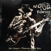 Noise and Flowers (Live) artwork