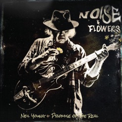 NOISE & FLOWERS cover art